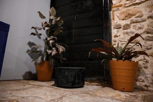 Christi Iuxury * Preveza